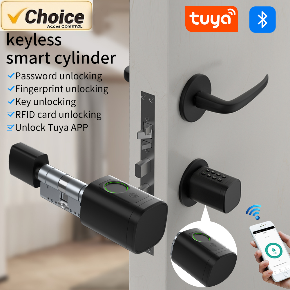 Home Security Options - Tuya Smart Mortise Lock IP65 Biometric