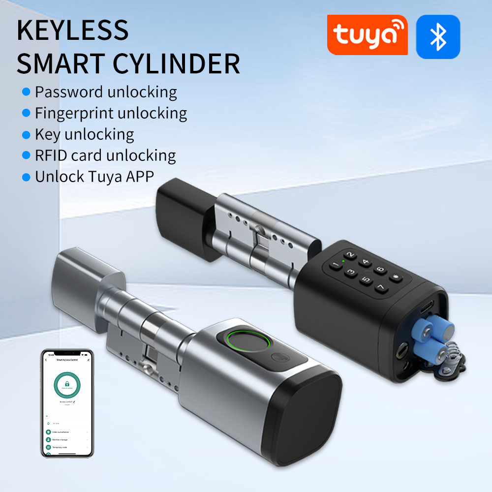 Tuya Smart Mortise Lock IP65 B - Home Security Options 评论和价格