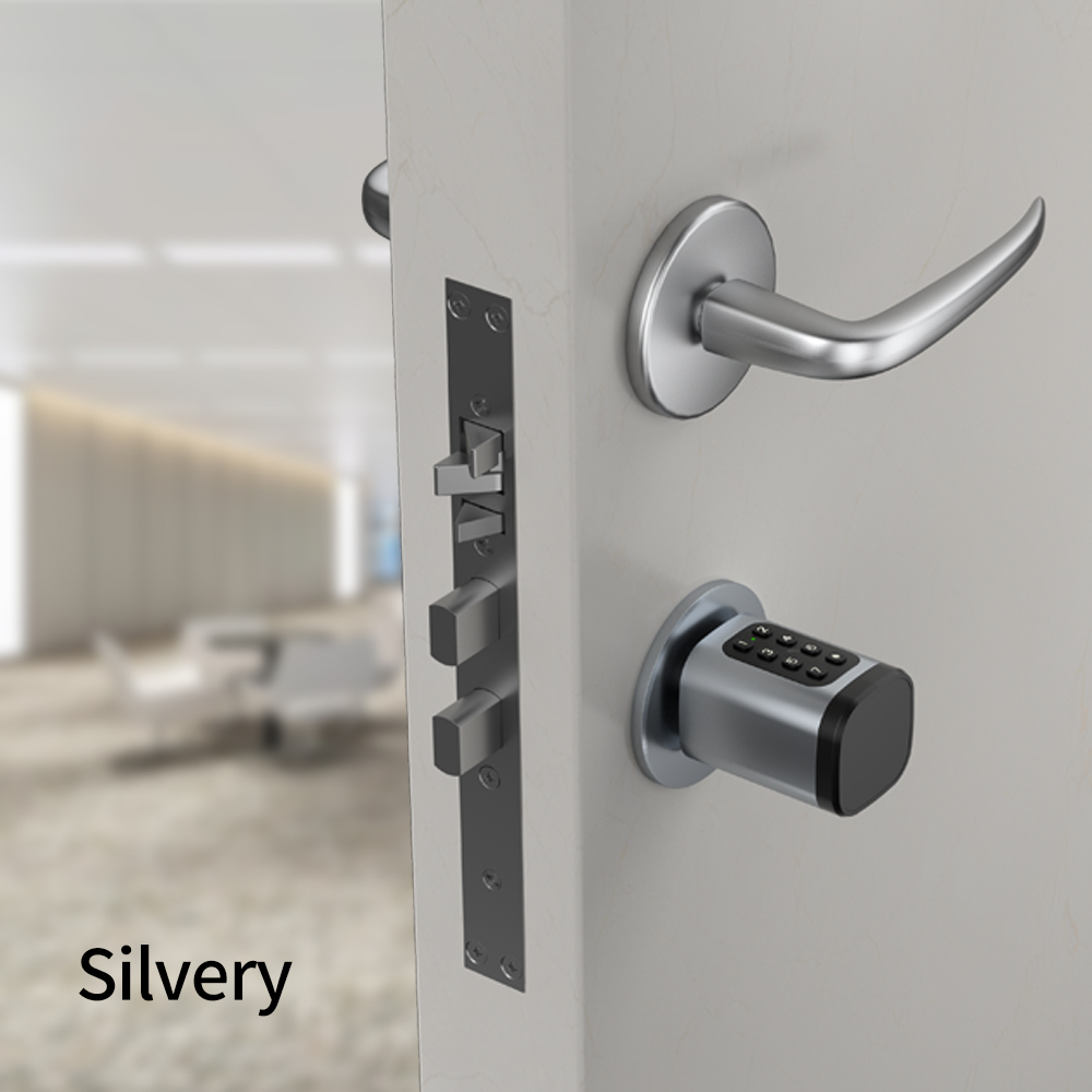 Tuya Smart Mortise Lock IP65 B - Home Security Options 评论和价格