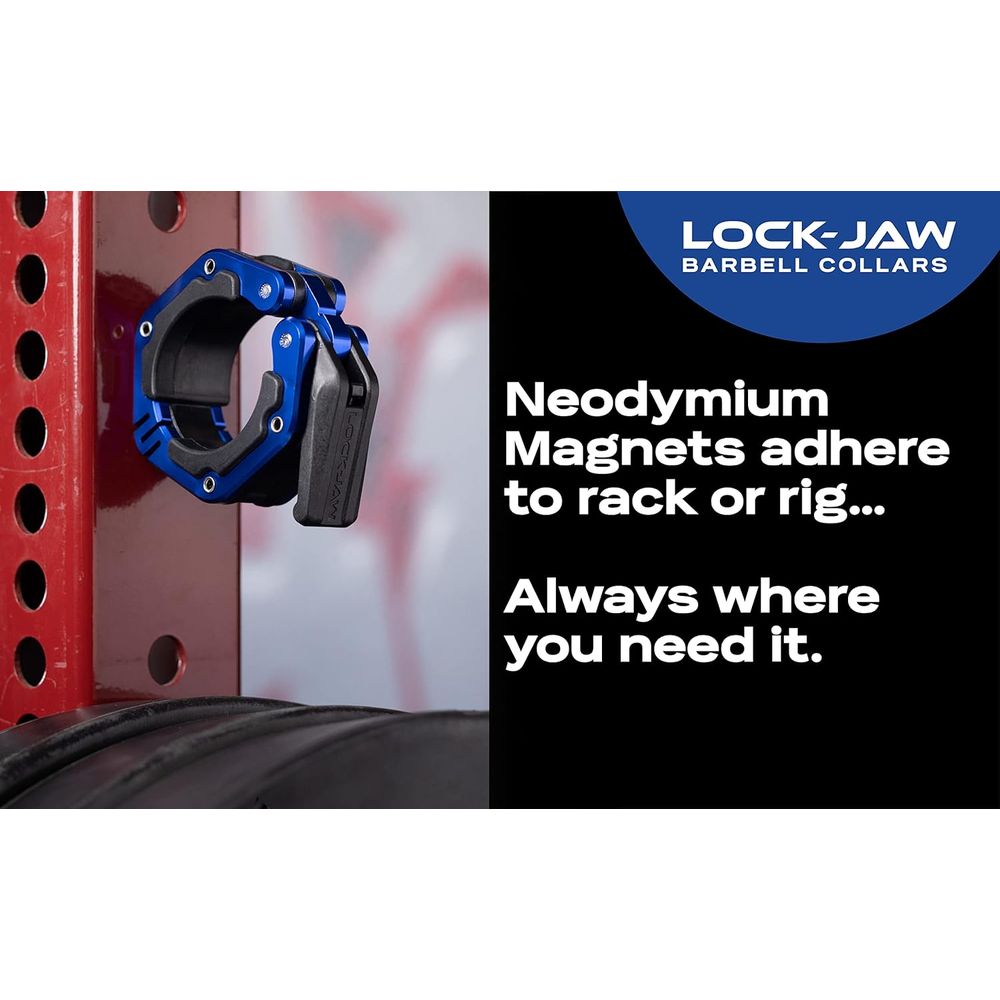Heavy-Duty Bar Clamps with Mag - Home Security Bars 评论和价格