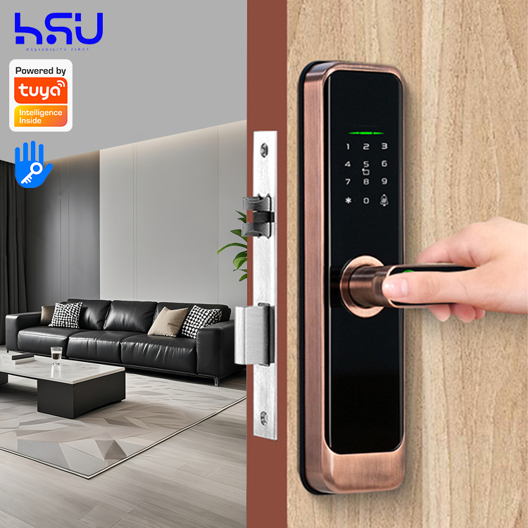Digital Smart Doorlock Passcod - Home Security For Doors 评论和价格