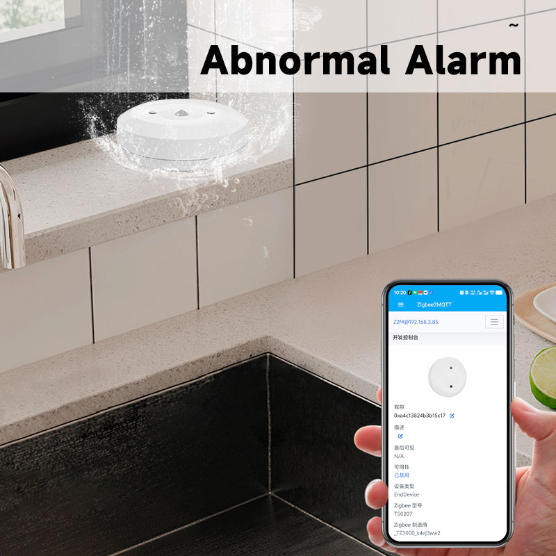 Smart ZigBee3.0 2MQTT Water Le - Home Security And Monitoring 评论和价格