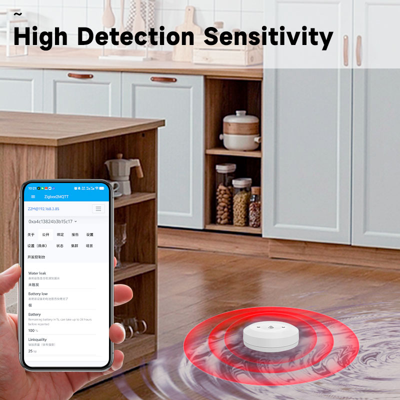 Smart ZigBee3.0 2MQTT Water Le - Home Security And Monitoring 评论和价格