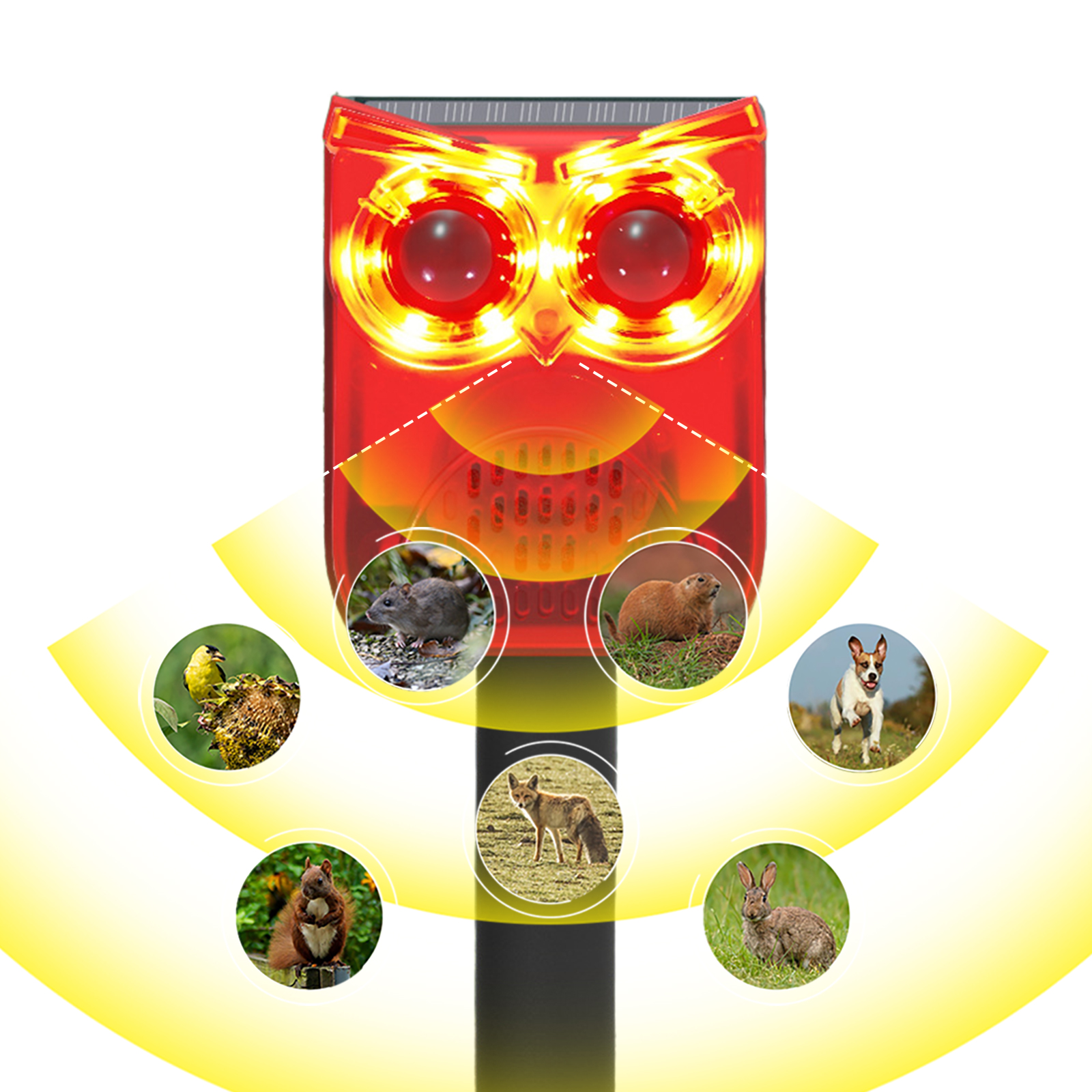 Solar Outdoor Motion Sensor Al - Barking Dog Alarm 评论和价格
